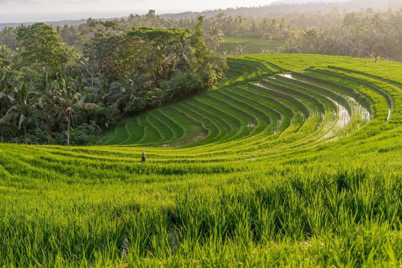 Galalima Glamping By Agata Hotel Meliling Ngoại thất bức ảnh