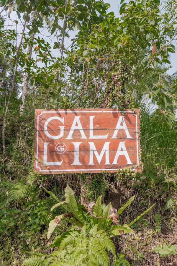 Galalima Glamping By Agata Hotel Meliling Ngoại thất bức ảnh
